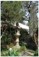 画像１